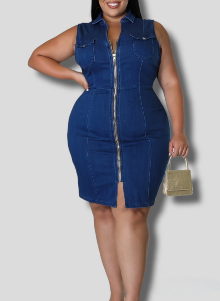 Weekend Denim Dress